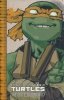 TEENAGE MUTANT NINJA TURTLES THE IDW COLLECTION VOL 07 TP [9798887243139]